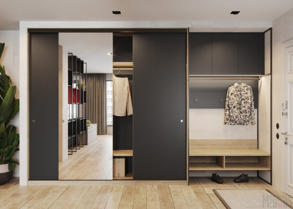 Шкаф-купе в прихожую «Парис»